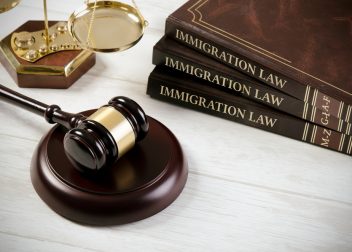 Immigration Lawyer