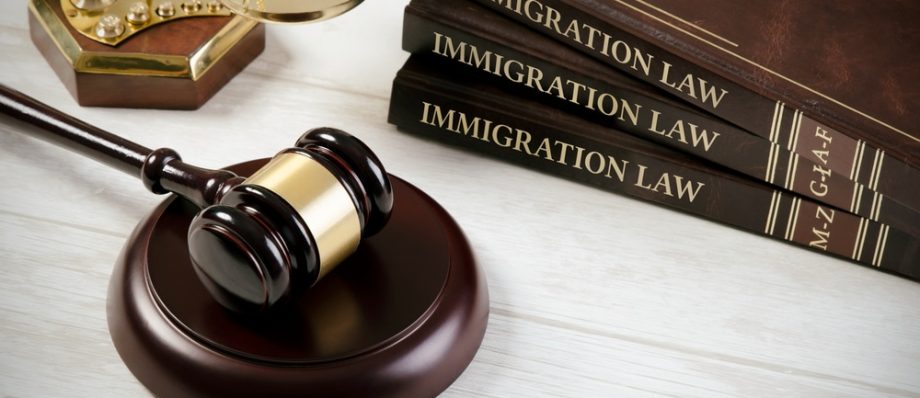 Immigration Lawyer